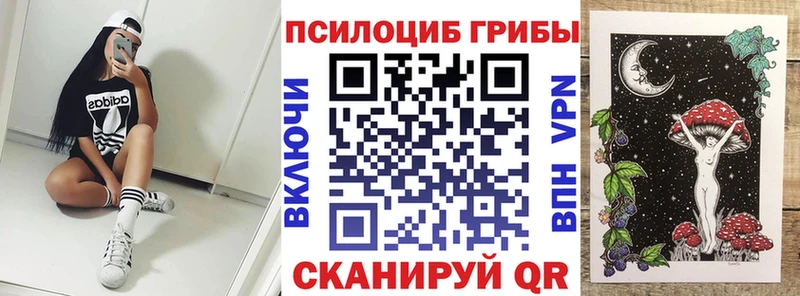 наркота  сайты даркнета телеграм  Галлюциногенные грибы мухоморы  Лесной 