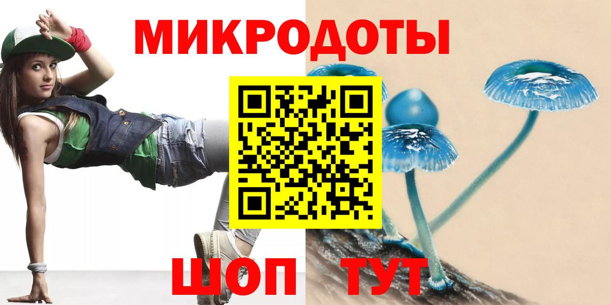 Лесной  Галлюциногенные грибы Psilocybe  Вход с VPN 